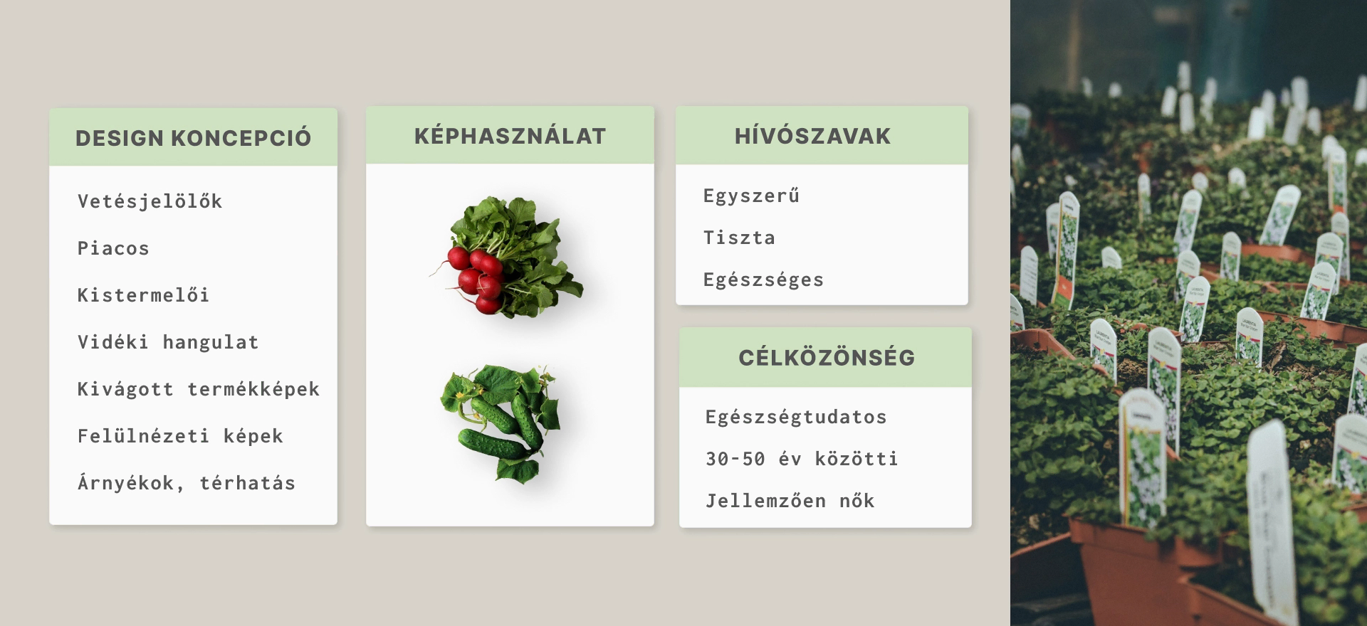 Webshop UI terv készítés